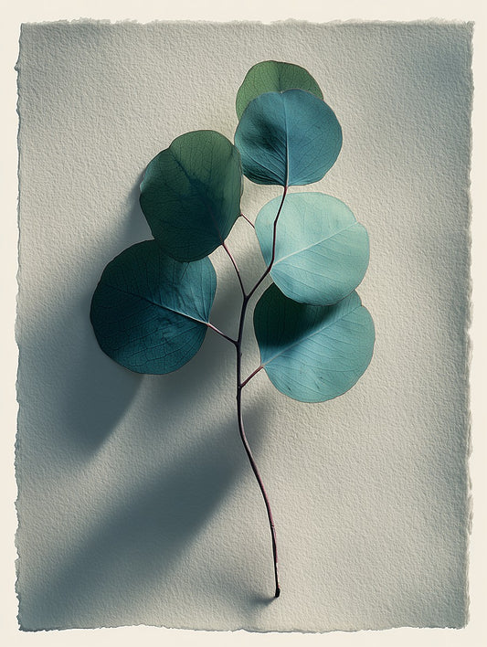 Eucalyptus branch on torn-edge textured paper with deep shadows